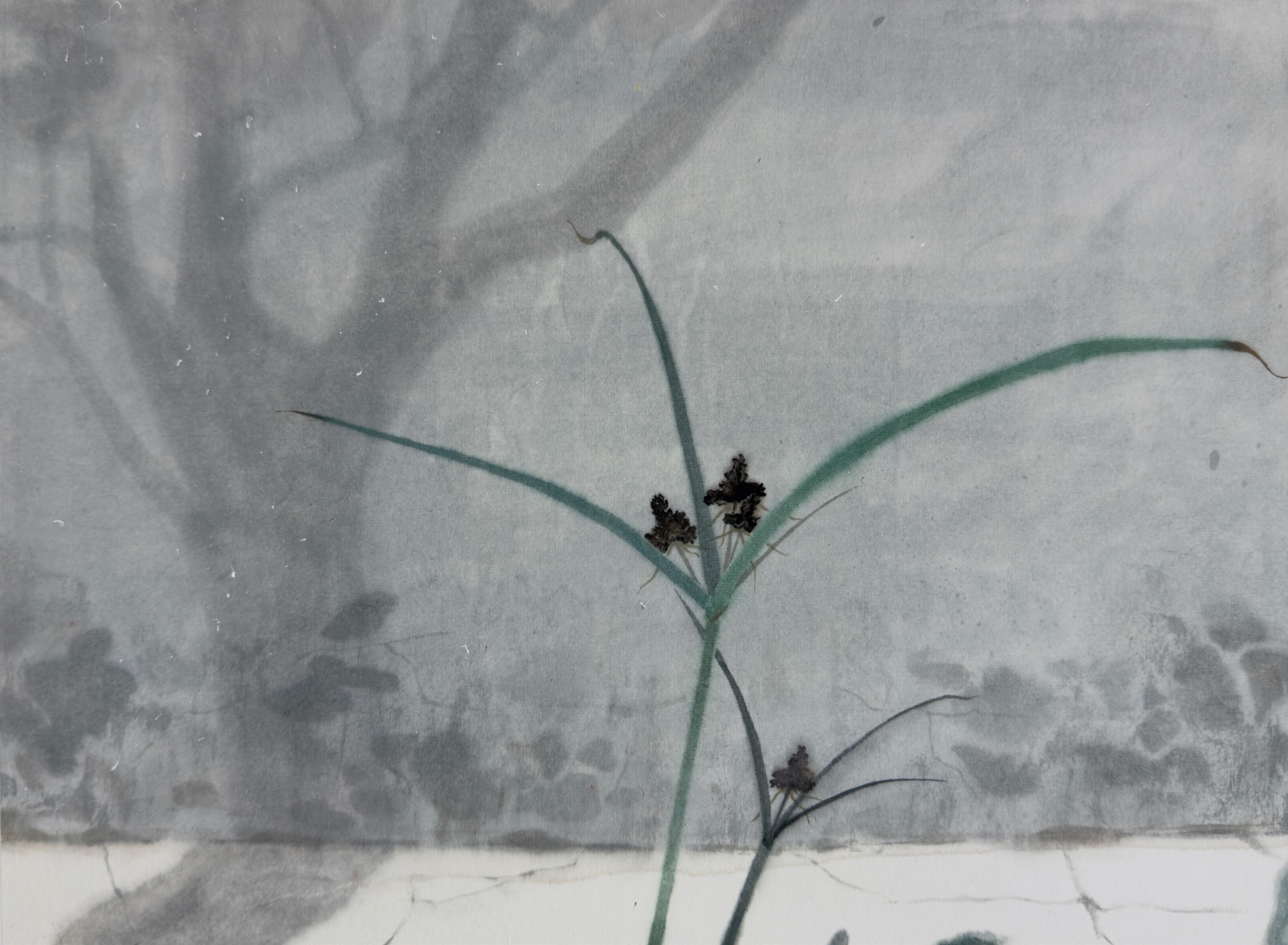 对视 / Mutual Gaze, 2026